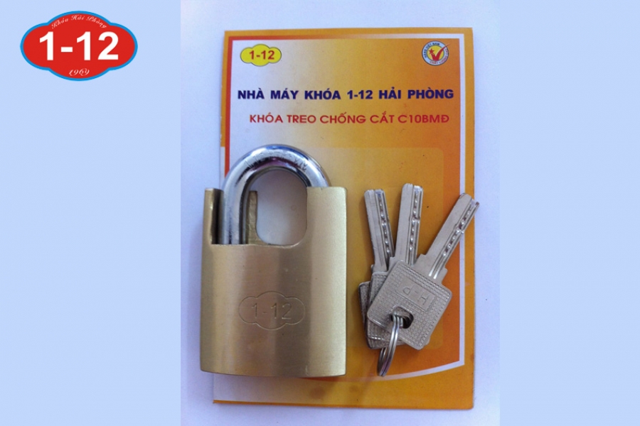 Khóa bấm chống cắt, chìa vi tính